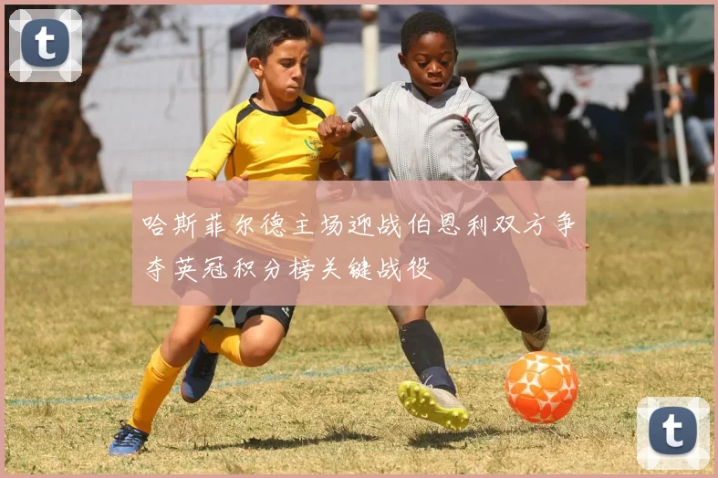 哈斯菲尔德主场迎战伯恩利双方争夺英冠积分榜关键战役